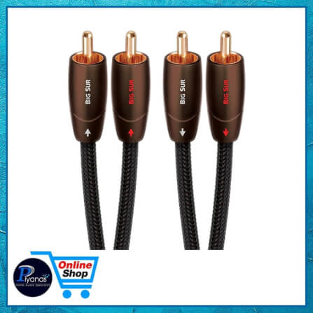 สายสัญญาณอนาล็อก AUDIOQUEST : BIG SUR (RCA TO RCA) (2.0M)_2